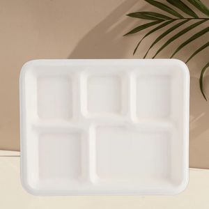 Products: 5 Compartment Bio School Tray x 500pcs