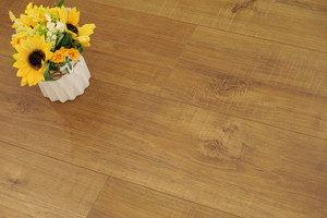 Products: Canyon Oak-DL8184（Step Guard- A brand of Jerry Home USA） TD Floors