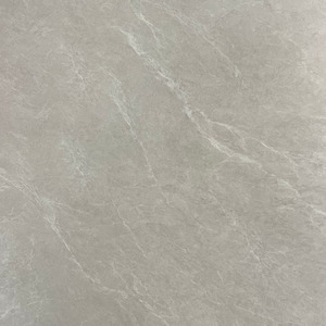 Products: Semi- Polished LF6035（600 600mm） TD Floors