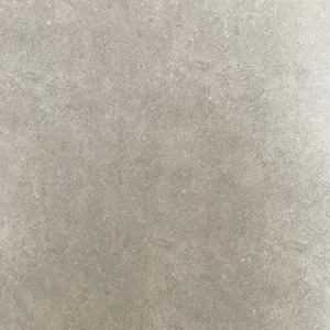 Products: Semi- Polished LF6069（600 600mm） TD Floors
