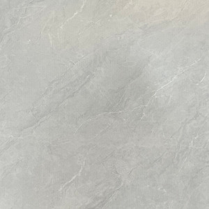 Products: Semi- Polished LF6016（600 600mm） TD Floors