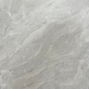Products: Semi-Polished LF6029（600 600mm） TD Floors