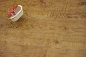 Products: Ebony Oak-H0003（Step Guard- A brand of Jerry Home USA） TD Floors