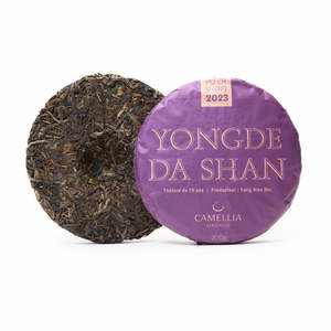 LL Pu Er: Pu Er Sheng 2023 Yongde Da Shan Old Trees