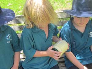 Products: School Holiday Education Programme 2017 / 2018