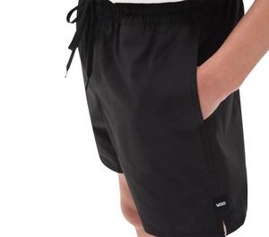 Clothing: Mens Vans Volley II Shorts