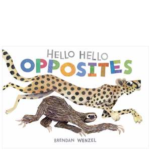Childrens Books: Hello Hello Opposites