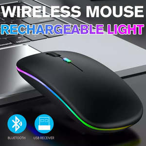 Computer: RGB Wireless Computer Mouse