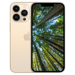 Products: iPhone 13 Pro Max 128GB Gold Excellent Pre-Owned - Techlord Technology