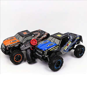 Rc Cars 1: RC Racing Truck - Large 1:10 size (mixed colours)