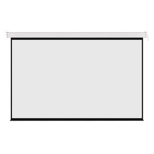 Projectors 1: RPAX100D - Bracom 100" (2150 x 1350mm) 16:10 ratio, Projector screen, - ELECTRIC