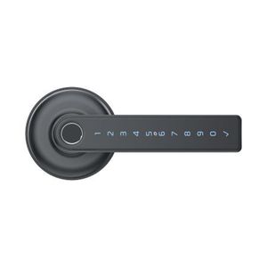 Smart Locks: SREASC03G - Schlage Ascent Internal Smart Entrance Lever - Graphite