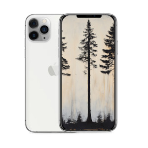 Iphone 11 Series: Apple iPhone 11 Pro Max 64GB Silver - Excellent- Refurbished