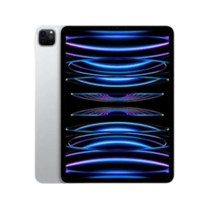 Apple iPad Pro 4th Gen 11" - Space Grey - Techxavvy