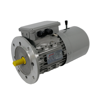 Products: TECO Te3 2 Speed Cast Iron Motors – TEFC