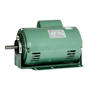 Products: TECO OEM Motors