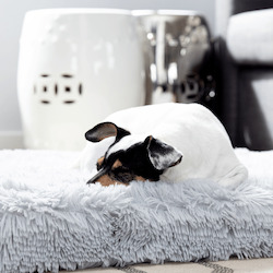 Mattresses: The Fluffy - dog bed
