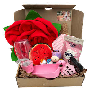 Teddys Dog Gift Bundles 1: Girls Having Fun | Teddy's Gift Bundle