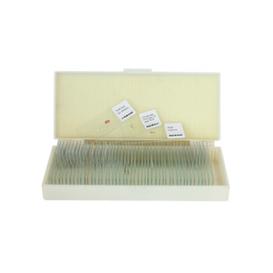 Saxon Plants Biological Micrcoscope Prepared Slides (50pcs) (310006)