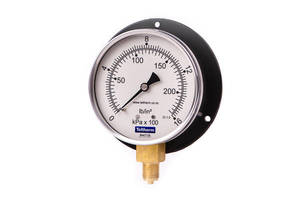 Pressure Measurement: Pressure Gauge 100 mm