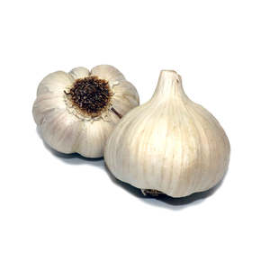 Bulbs: TE MATA FIRE