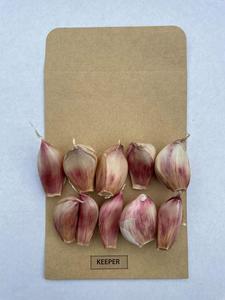 Selected Planting Cloves - Keeper