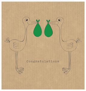 Congratulations - Twins