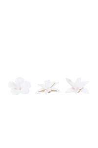 Wall Art: Flower Collection