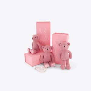 Children: Dear Ted Little Ted | Rosewater