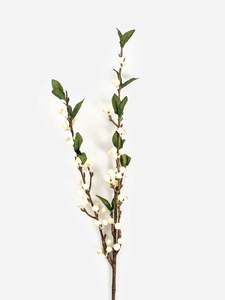 Garden: Cranberry Spray | White