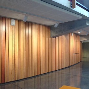Products: Silver Beech panelling