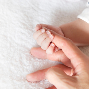 Globo Basis Collection: Evidence Based Babies