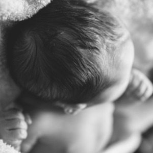 Globo Basis Collection: Natural Beginnings