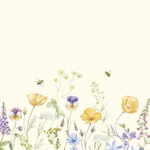 Honeyborn Balanced Birth Education