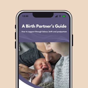 Globo Basis Collection: A Birth Partner's Guide e-book