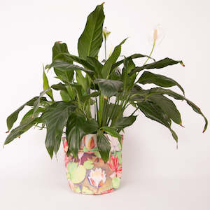 Natural New Zealand: Waterlilies Planter- Rita Angus