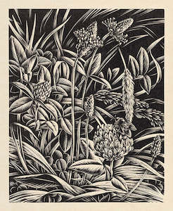 Wholesale: Clover; 1946 - Card