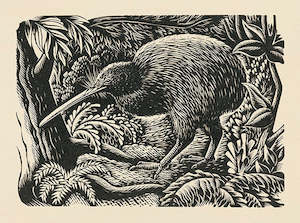 Wholesale: Kiwi; 1954 - Card