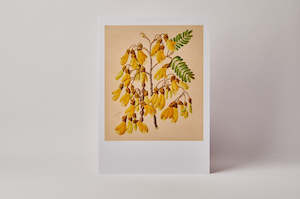 Nz Art Pieces: Sarah Featon Kowhai A3 Print