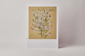 Nz Art Pieces: Sarah Featon Manuka A3 Print