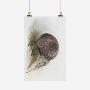 Kitchen 1: George Lodge Tea Towel Kiwi