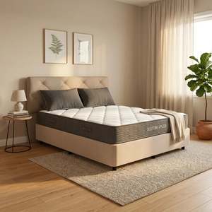 Bedroom: Zzz Time Spazor