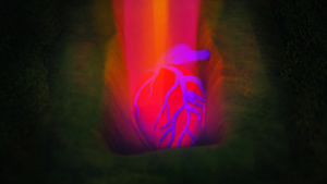 Rangituhia Hollis: Heart, 2016