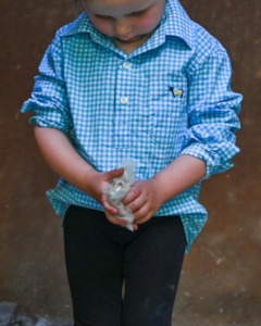 Kids Youth Clothing: Luvabull: Kids Summer Shirt - Jack