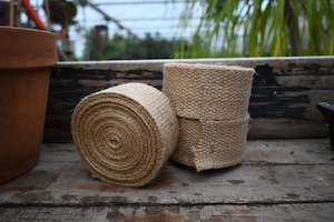 Plants Beginning With T: Tree Webbing