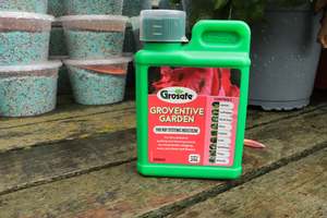 Groventive Garden