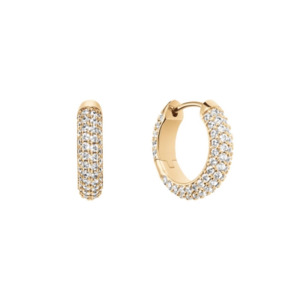 Daniel Wellington: Daniel Wellington Brass Gold Plated Pavé Earrings
