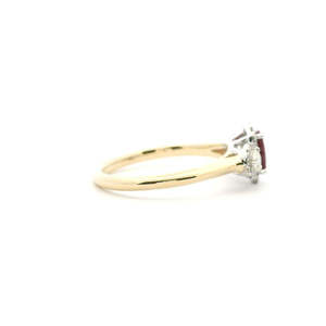 Ruby: Ruby & Diamond 9ct Yellow & White Gold Three Stone Halo Ring