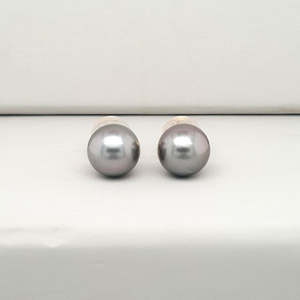Pearls: 9ct Yellow Gold 7-8mm Round Tahitian Pearl Stud Earrings
