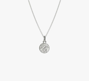 Evolve Sterling Silver Tui Coin (Admired) Necklace